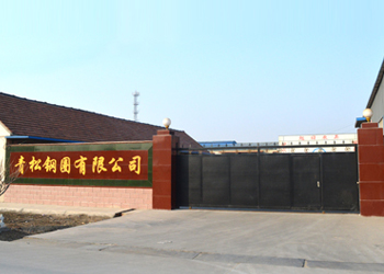 企業(yè)實(shí)力